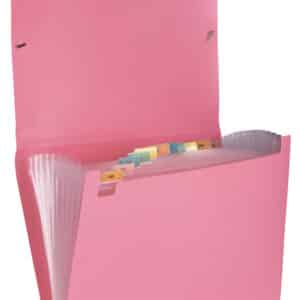 Clasificador Plast. A4 12 Div. Cristal Lama